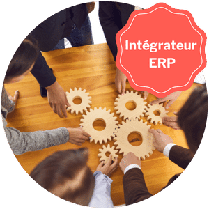Intégrateur ERP PME