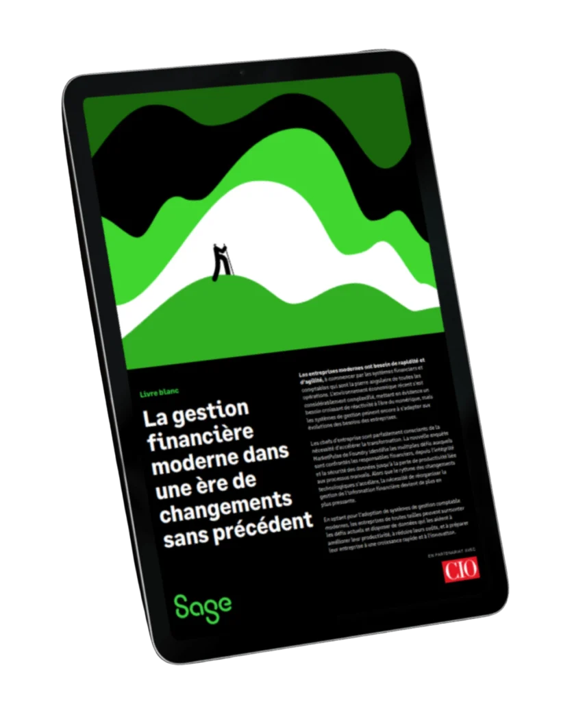 ERP comptable livre blanc
