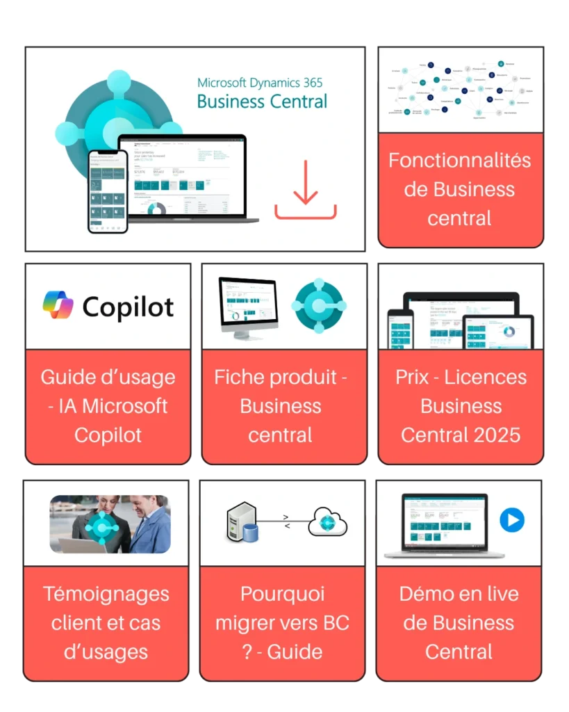 Ressources projet ERP Business central